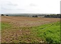 Arable land, above Crediton