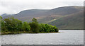 Trees at the shore of Ennerdale Water