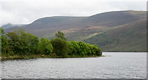 NY1016 : Trees at the shore of Ennerdale Water by Trevor Littlewood
