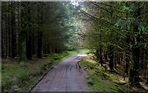 SN6650 : Forestry road south-west of Llyn y Gwaith in Ceredigion by Roger  D Kidd