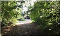 Approaching Knowle Lane