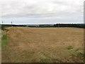 Arable field at Helm