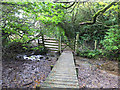 Footbridge over stream in Cleave Wood