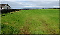 View north from Neyland Road field gates, Steynton, Milford Haven