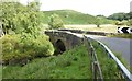 Bridge over the Ray Burn