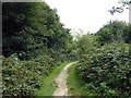 Summerfields Wood Nature Reserve