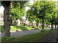 Tree-lined Burford High Street