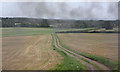 Track to Manor House Farm, Newton-le-Willows