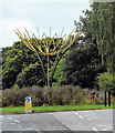 Sculpture on roundabout at Bathwick