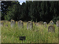 St Mary, Kirkburn - graveyard