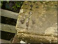 SE1467 : Rivet bench mark, Wath Bridge by Alan Murray-Rust