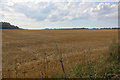 Farmland on the Western Side of Liverpool Road