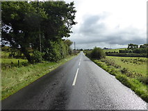 H3977 : Drumlegagh Road South, Lisnacreaght by Kenneth  Allen