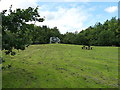 Open space in the Country Park