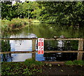 No swimming or diving in Creigiau Pond, Creigiau