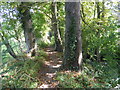 Path through woodland near Hollanden Park Farm