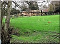 Brookfield in the Line valley, Whatlington