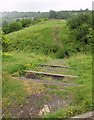 SP1566 : Steps and path, Beaudesert Castle by Derek Harper