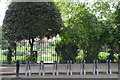 Leinster Square