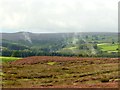 Steam Rising above Dallowgill