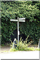 TL8963 : Roadsign on Ipswich Road by Geographer