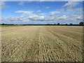 Field near Broughton