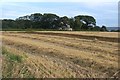 Cereal harvest at Garth, Castletown