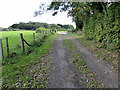 Track to Cobb Court Barn