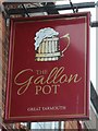 The Gallon Pot