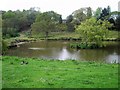 Pond at Ninham