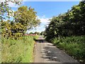 Lane north of Barley Lodge