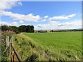 Looking north to Bullions Farm