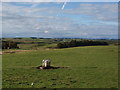 Fields next to Moyne Farm