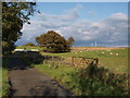 Road at Over Carswell farm