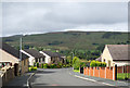 Bruntley Meadows, Alston