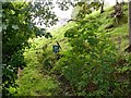 Peak & Northern Footpaths Society sign #268