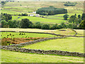 Slope with fields descending towards River South Tyne