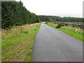 A part of the dead-end road that runs for several miles from Fingland to Crawick near Carcoside