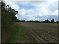 Stubble field off Hoe Road South