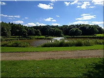 SJ8831 : Lake and park at Stafford Services by Rob Purvis
