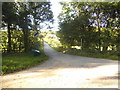 Narrow lane in Westwell