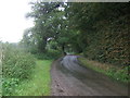 TG0715 : Stone Road beside Hockering Wood by JThomas