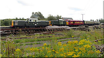SO6302 : Dean Forest Railway at Lydney Junction by Gareth James