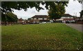 Green space at Brent Knowle Gardens, Leicester