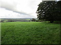 Grass field at Bogtown