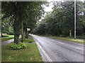 Bus stop on Drayton Road (A1067)