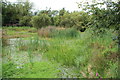 NX0163 : Aldouran Wetland Garden by Billy McCrorie