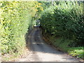 Lane to Elmbridge from Addis Lane, Cutnall Green