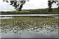 NW9963 : Lochnaw Loch by Billy McCrorie