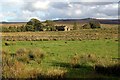 View from the B6265 at Stone Gill Flat